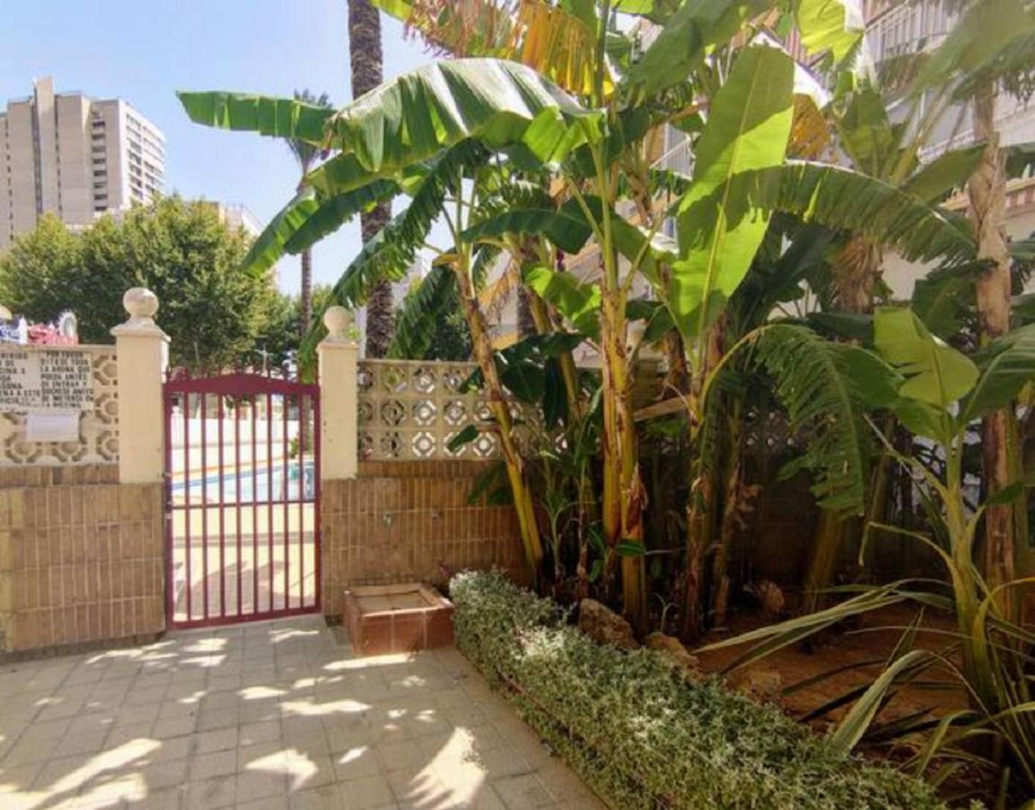 Apartmán Benidorm Rocas One, Un Oasis A 100 Metros Del Mar Exteriér fotografie